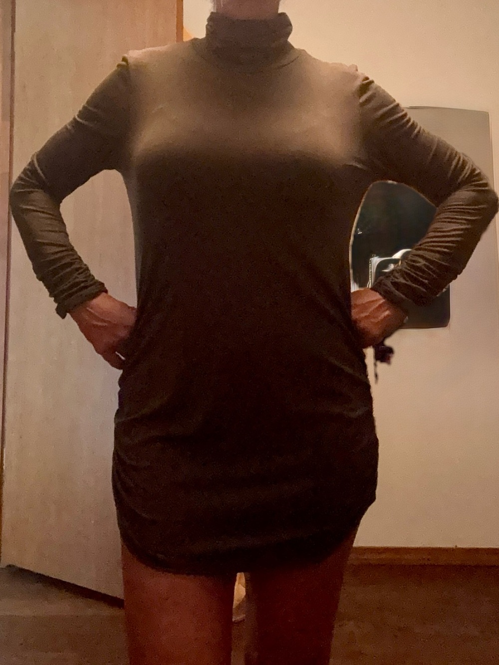 Olive Green Long Sleeve Turtleneck Mini Dress